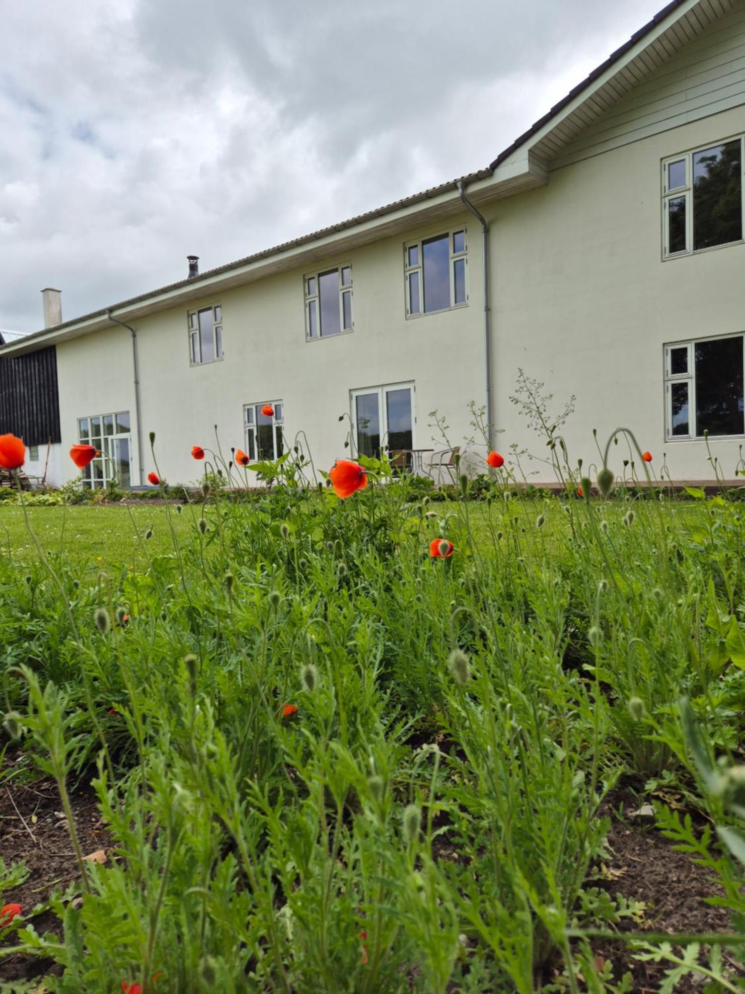 Mols Bed & Breakfast Knebel Εξωτερικό φωτογραφία