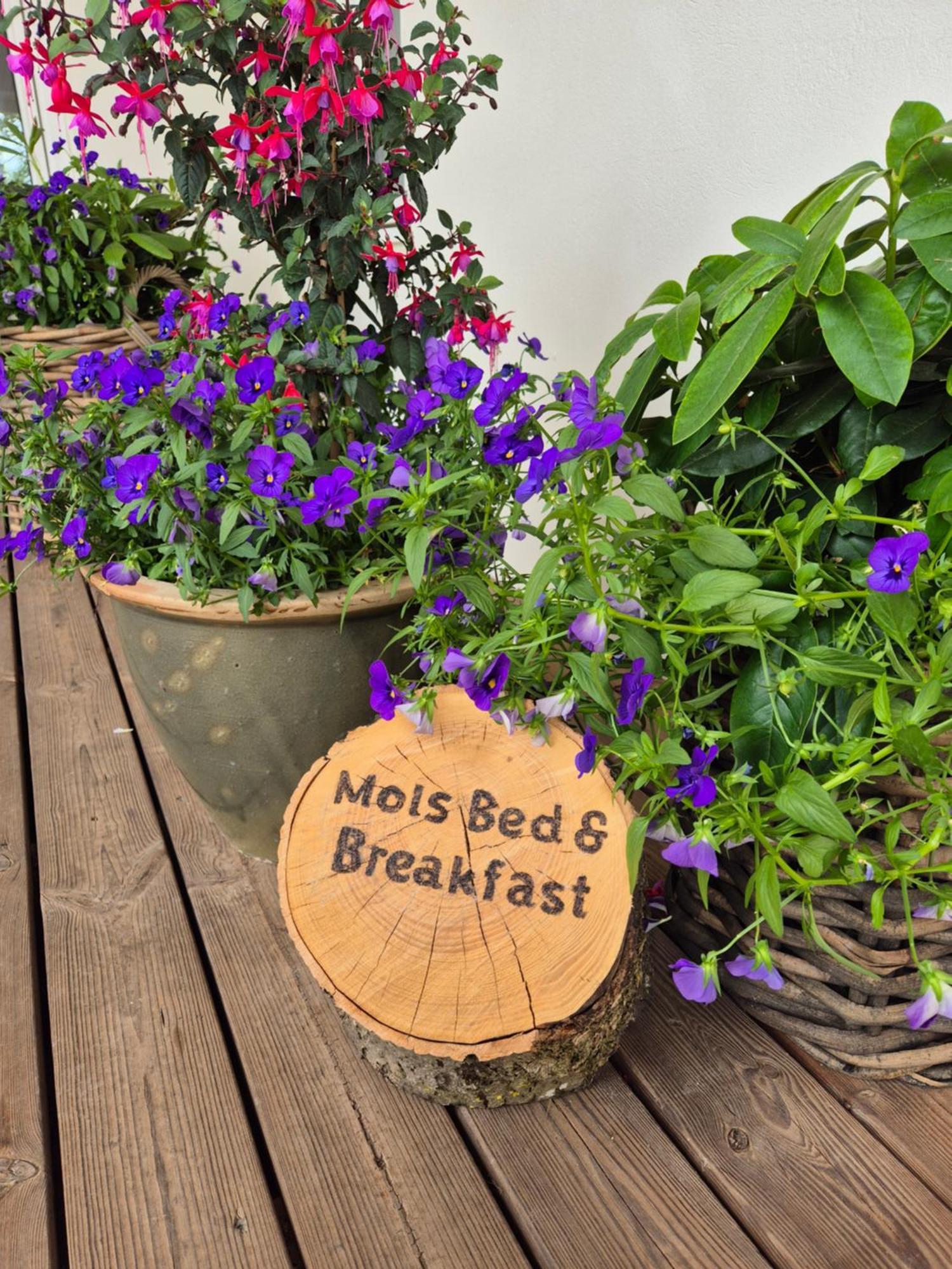 Mols Bed & Breakfast Knebel Εξωτερικό φωτογραφία